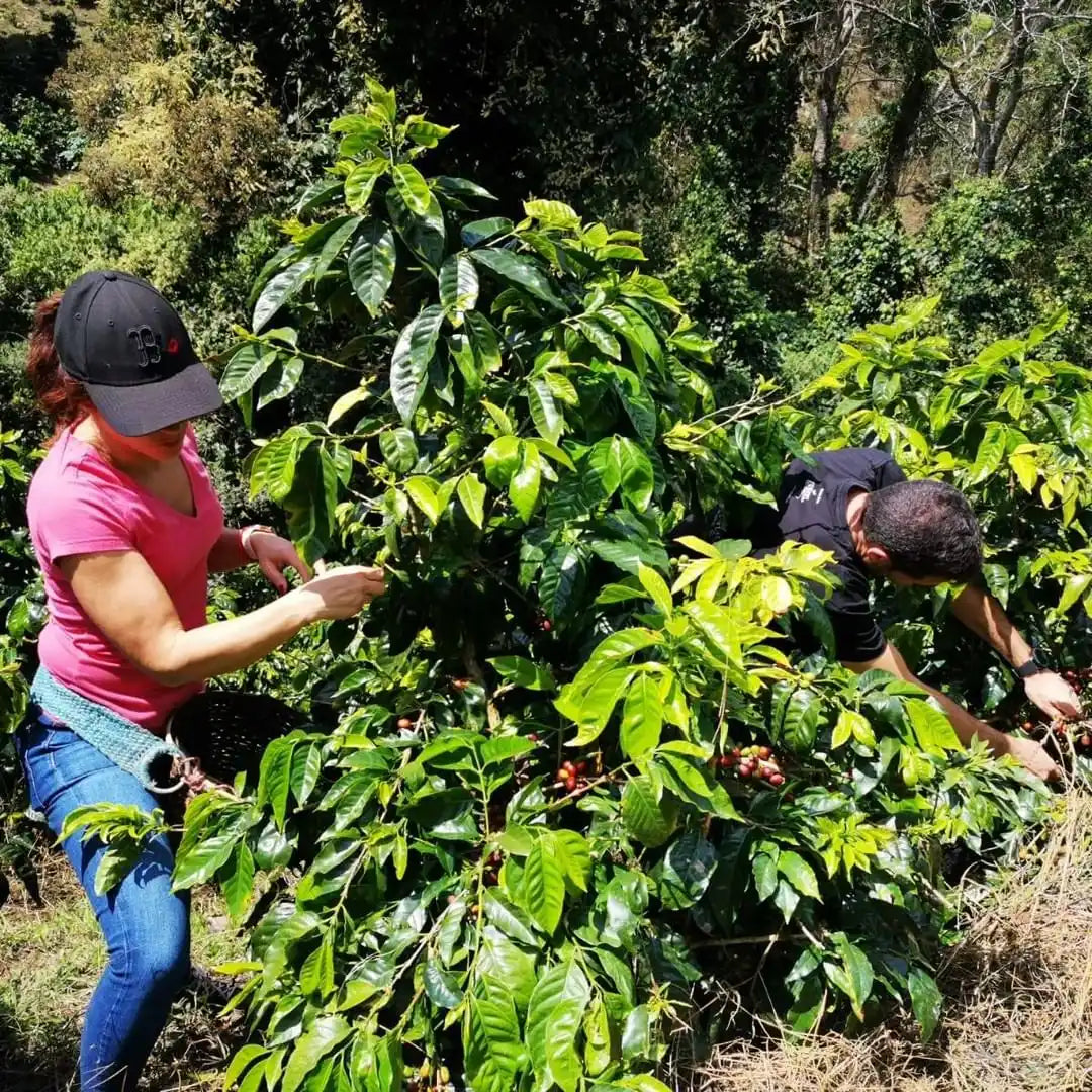 275915824_1021268392078735_3761126655741175167_n|291796890_394704469306119_3389021311829331741_n|304900786_834609047699619_7932799867455551653_n|278909880_386288246695400_3962680531369389969_n (1)