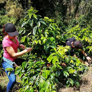 275915824_1021268392078735_3761126655741175167_n|291796890_394704469306119_3389021311829331741_n|304900786_834609047699619_7932799867455551653_n|278909880_386288246695400_3962680531369389969_n (1)