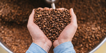 Mejor café en grano