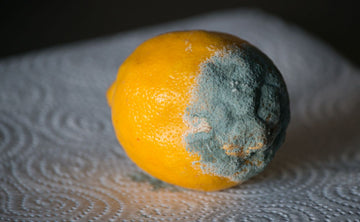 Caducidad Café - Destacada|Cafe Molido Caducidad