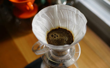 Café Filtrado|Alejandro Basset