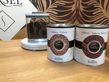 DJI_20210211_114355_157-1024x768