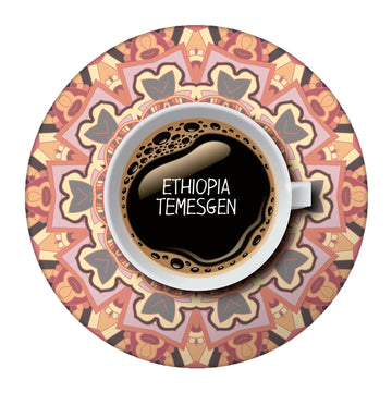 Ethiopia Temesgen