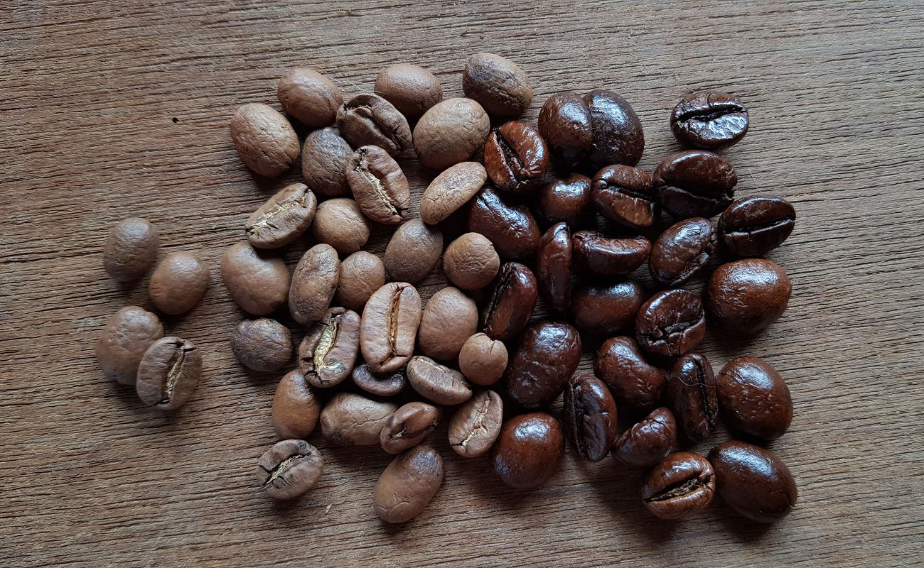 Tipos de granos de café|Diferentes tipos de café en grano|Diferencias entre los tipos de grano de café