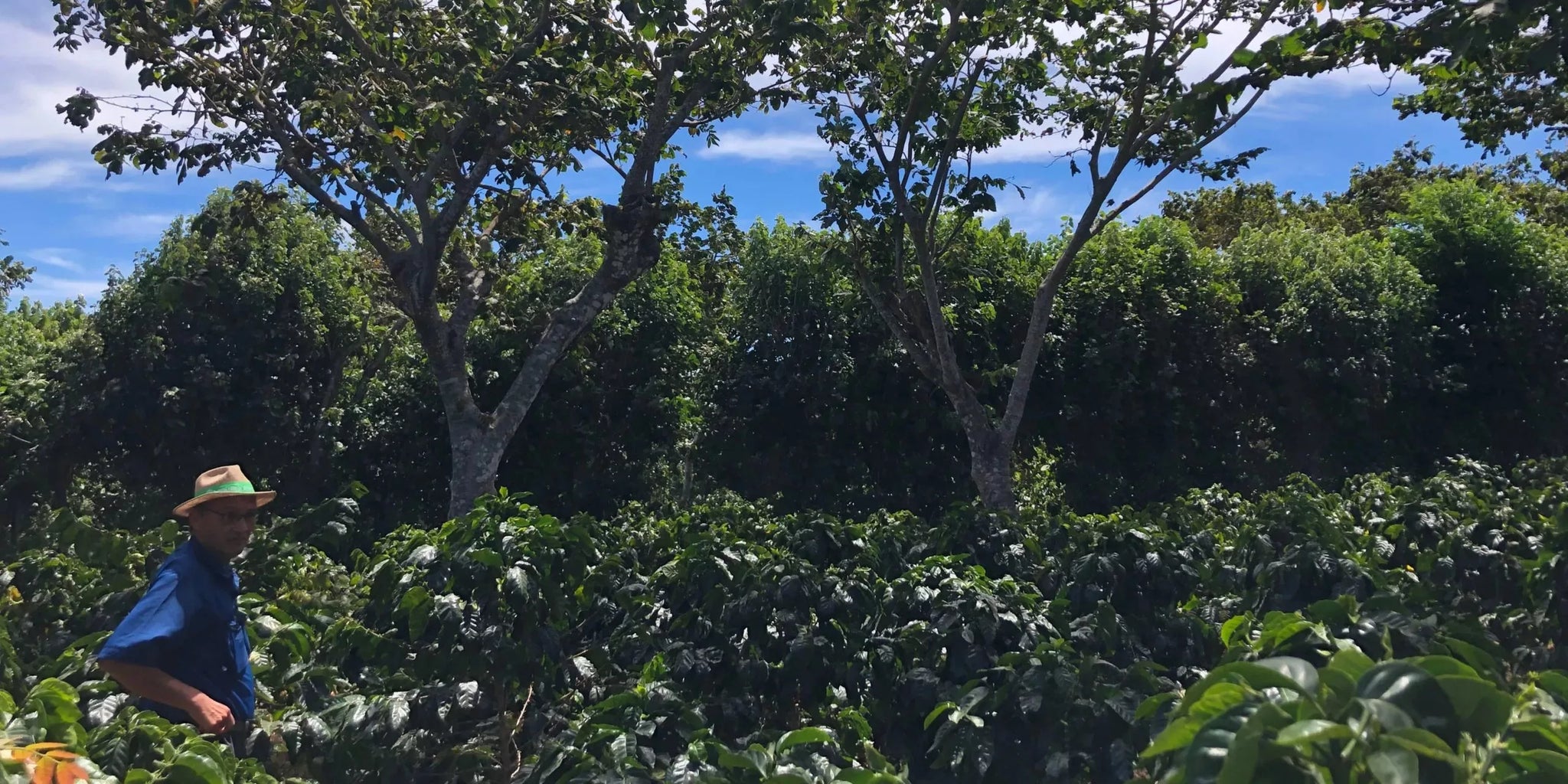 banner ecologico|Cadena de valor empresarial|Cadena de valor empresarial 2