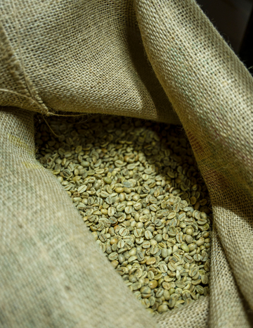 Café ecológico: qué es, en qué se diferencia y cómo elegirlo