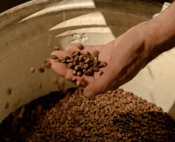 Qué evitar al comprar café en grano