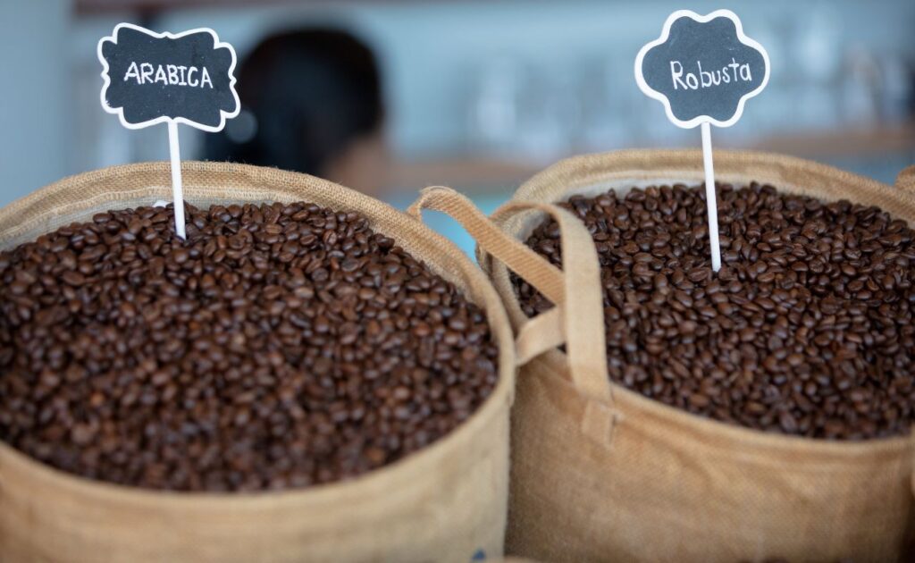 Diferentes tipos de café en grano